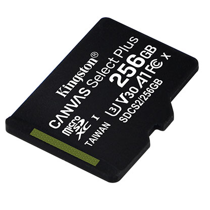 256 GB Kingston MicroSD Memory Card